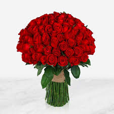 نازنین قاسم پور